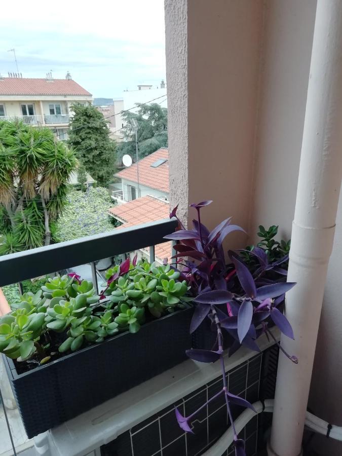 " Sete A Vous" Apartment Ngoại thất bức ảnh